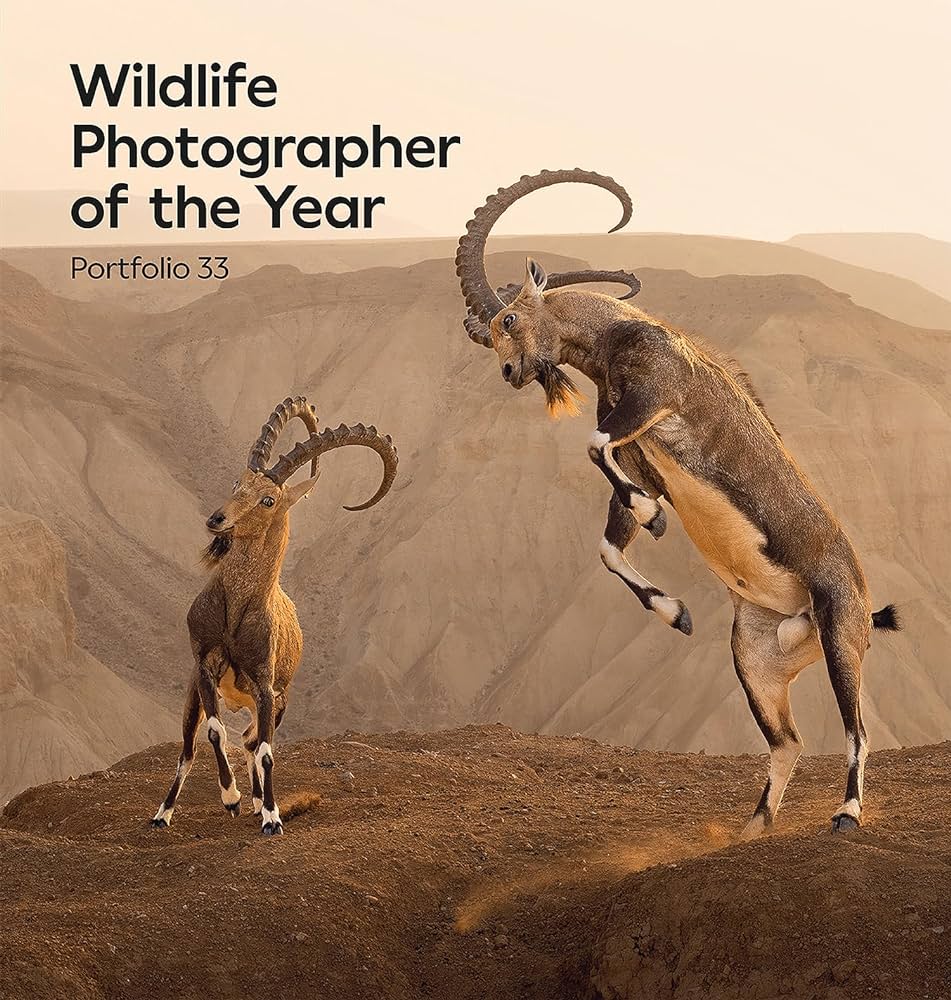 Wildlife Photographer of the Year: Portfolio 33 (Hardback)