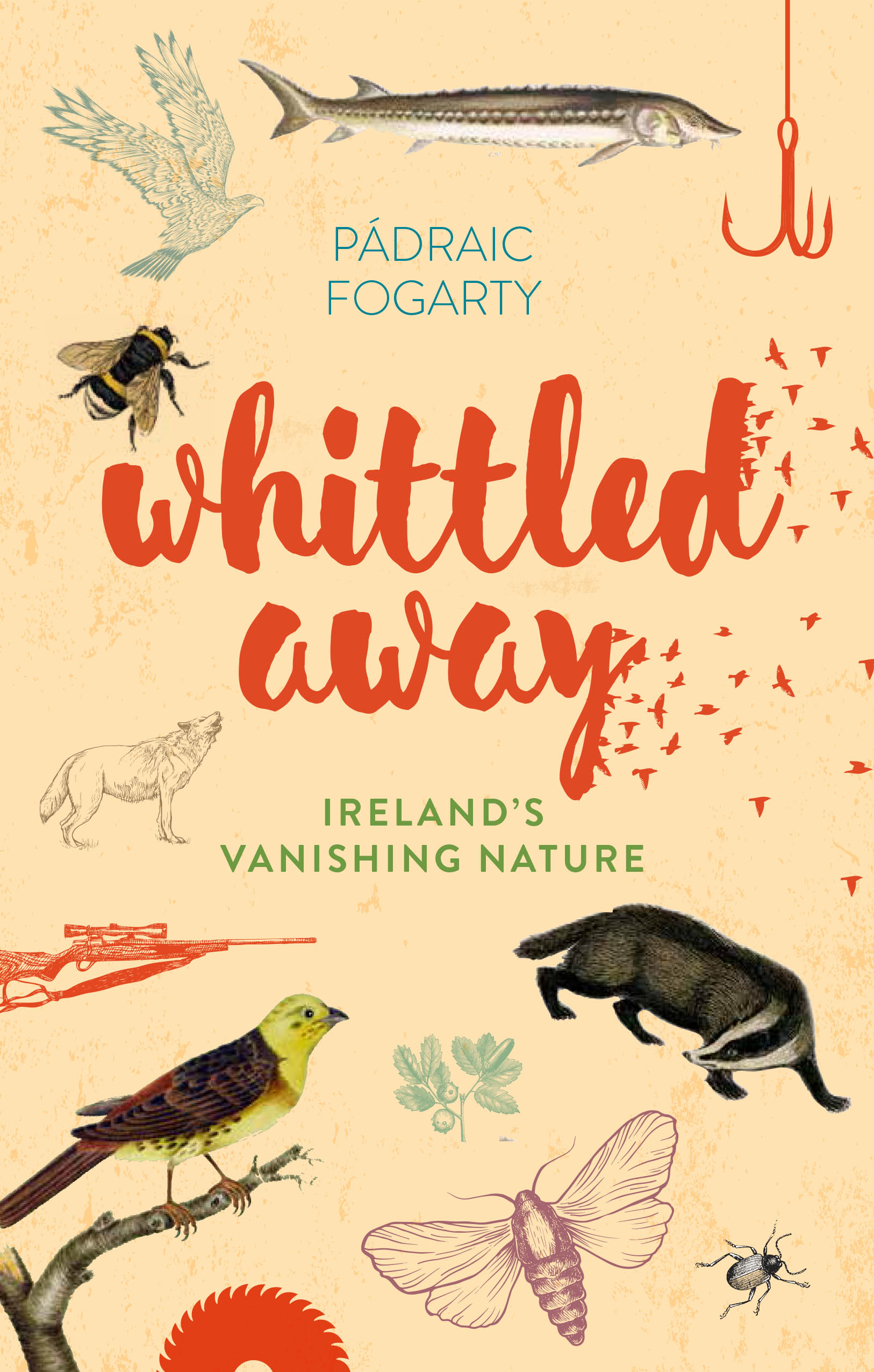 Whittled Away: Ireland's Vanishing Nature (Hardback)