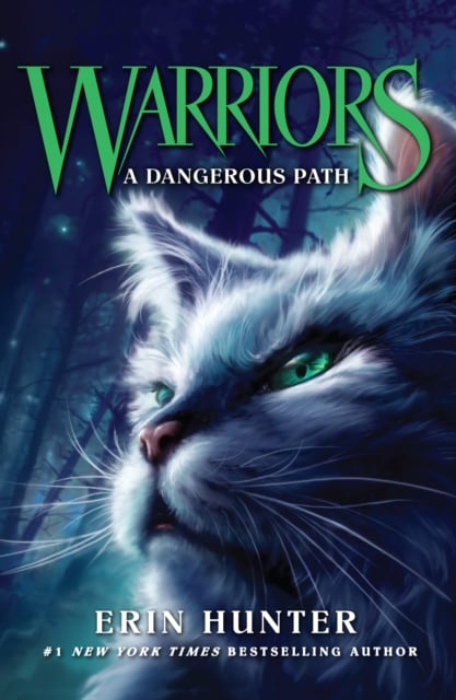 A Dangerous Path : Book 5