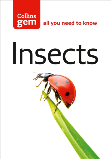 Insects: All You Need to Know (Collins Gem)