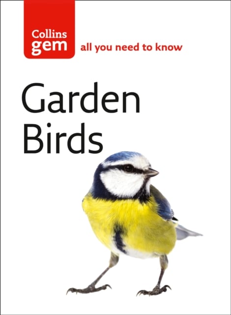 Garden Birds: All You Need to Know (Collins Gem)