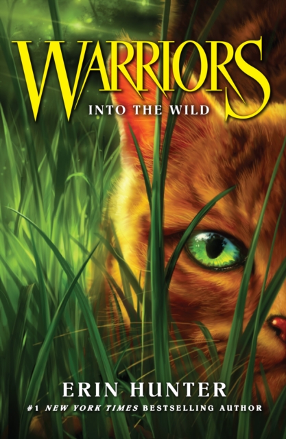 Warrior Cats: Into the Wild (Books 1)
