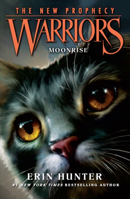 Warriors The New Prophecy: Moonrise (Book 2)