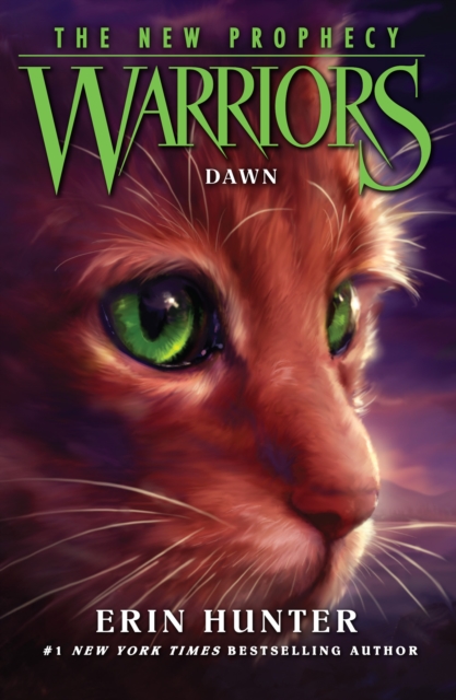 Warriors The New Prophecy: Dawn (Book 3)