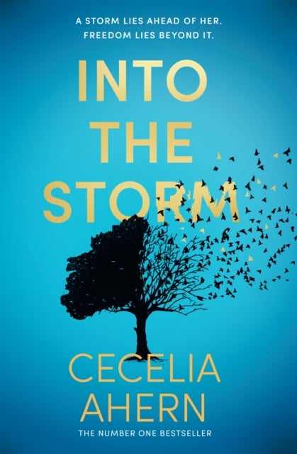 Cecelia Ahern : Into the Storm (Large Paperback)