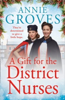 A Gift for the District Nurses (The District Nurse Book 4)