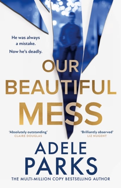 Our Beautiful Mess (Paperback)