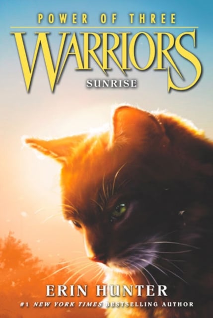 Warriors: Power of Three 6: Sunrise