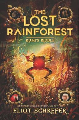 The Lost Rainforest 3: Rumi's Riddle
