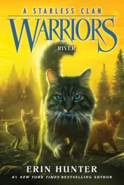 Warriors: A Starless Clan #1: River : 1
