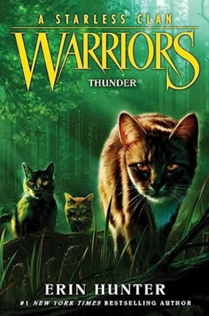 Warriors: A Starless Clan #4: Thunder : 4