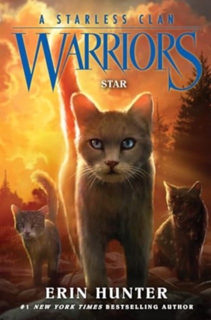 Warriors: A Starless Clan 6: Star (Hardback)