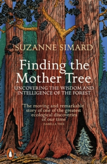Finding the Mother Tree (Paperback)