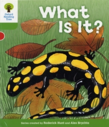 Oxford Reading Tree : More Patterned Stories A - What Is It? (Level 2)
