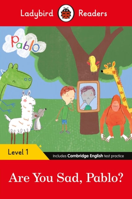 Are you Sad Pablo? (Ladybird Readers Level 1)