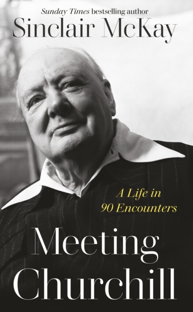 Meeting Churchill : A Life in 90 Encounters (Hardback)