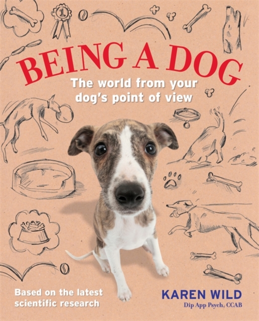 Being a Dog : The world from your dog's point of view