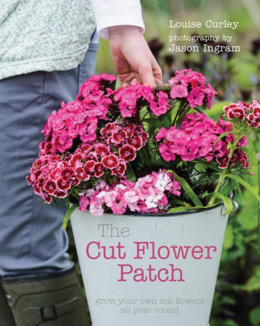 The Cut Flower Patch : Grow your own cut flowers all year