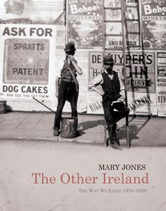 The Other Ireland: Changing Times 1870-1920 (Hardback)