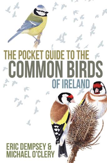 The Pocket Guide to Common Birds of Ireland