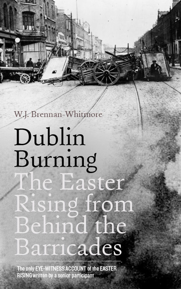 Dublin Burning: The Easter Rising from Behind the Barricades (Hardback)
