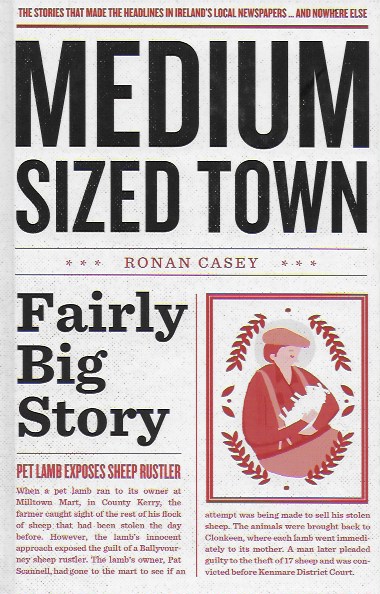 Medium Sized Town, Fairly Big Story (Hardback)