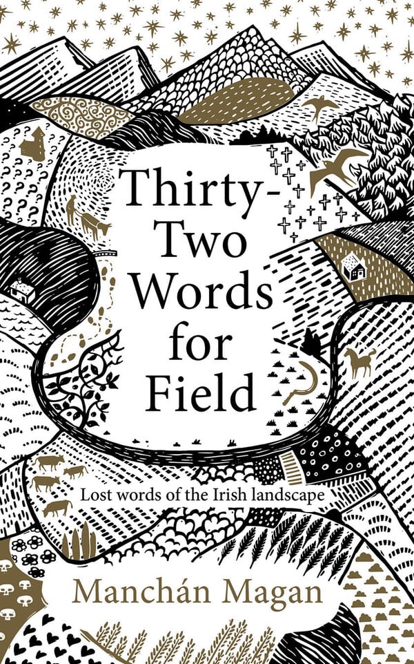 Thirty-Two Words for Field : Lost Words of the Irish Landscape