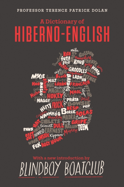 A Dictionary of Hiberno English (3rd Ed.)