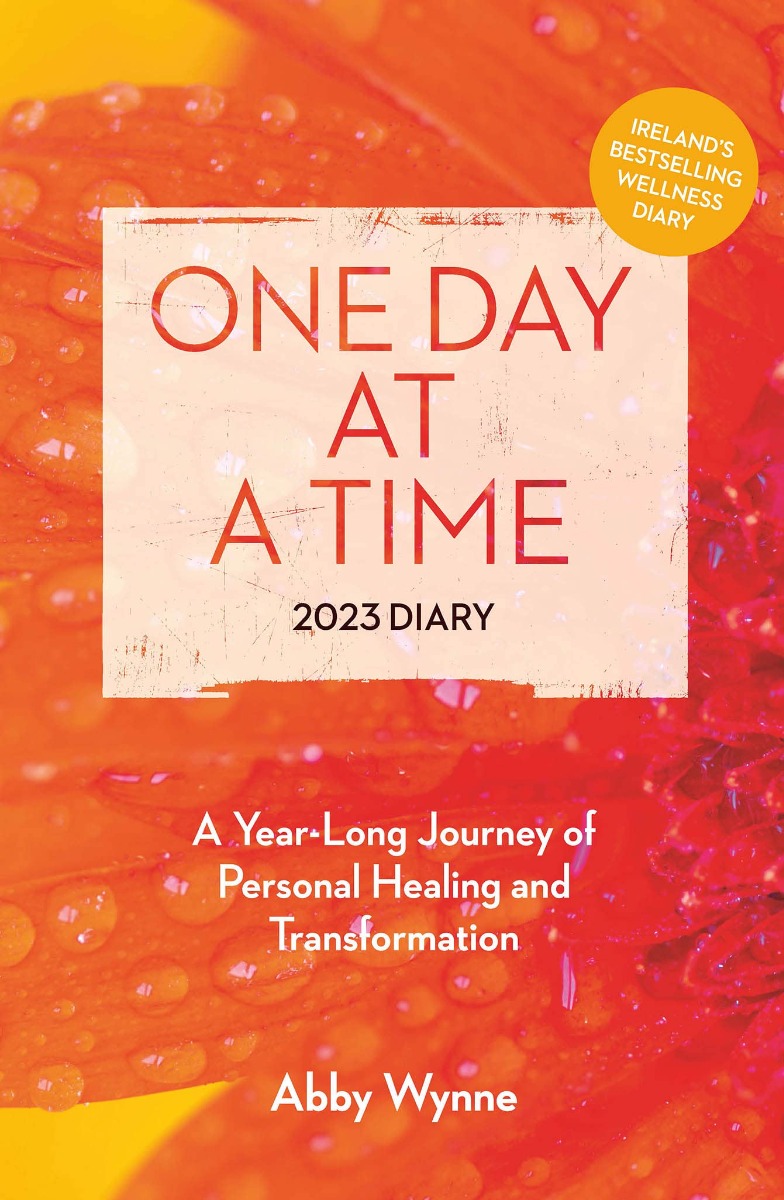 One Day at a Time Diary 2023