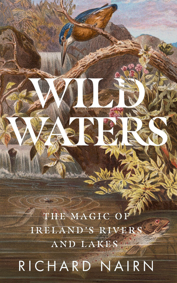 Wild Waters: The Magic of Ireland’s Rivers and Lakes