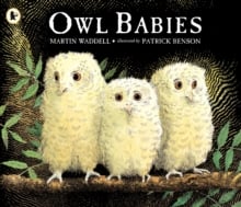Owl Babies (Paperback)