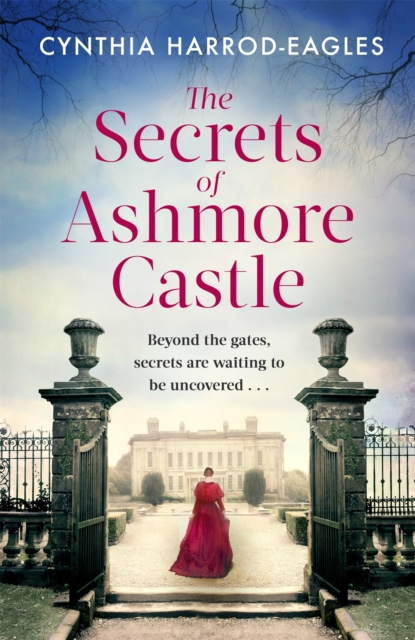 The Secrets of Ashmore Castle (Book 1)