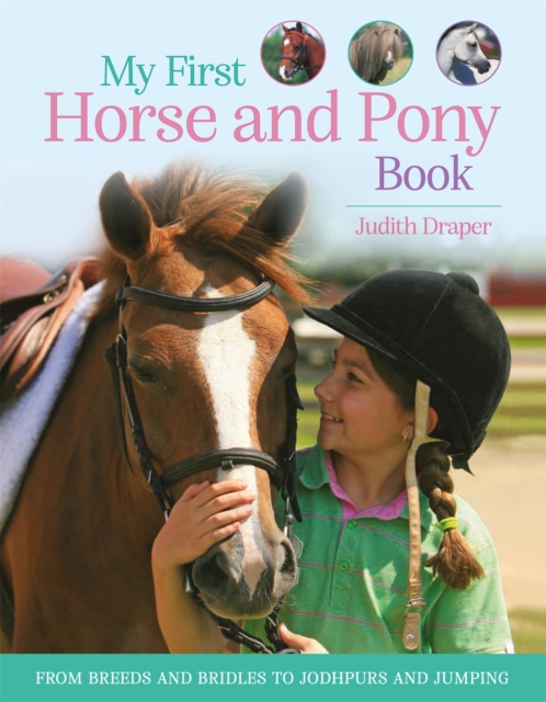 My First Horse and Pony Book : From breeds and bridles to jodhpurs and jumping