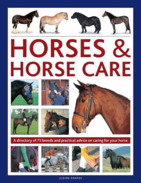 Horses & Horse Care (Hardback)