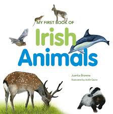 My First Book of Irish Animals