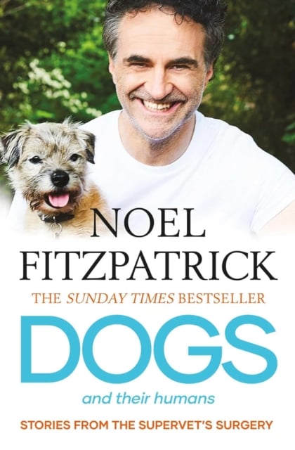 Dogs and Their Humans : Stories of Healing and Hope from the Supervet's Surgery (Paperback)