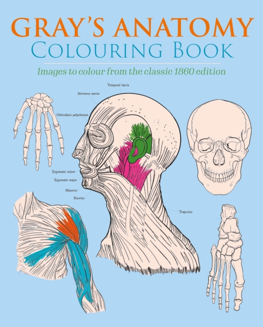 Gray's Anatomy Colouring Book : Images to Colour from the Classic 1860 Edition