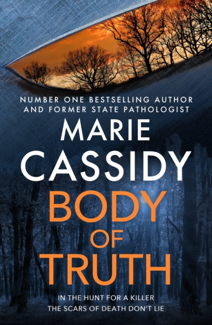 Body of Truth (Irish Crime Fiction)