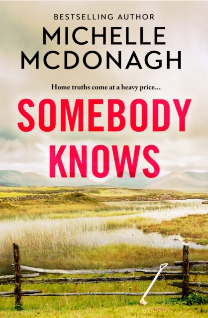 Somebody Knows (Crime Mystery Fiction)