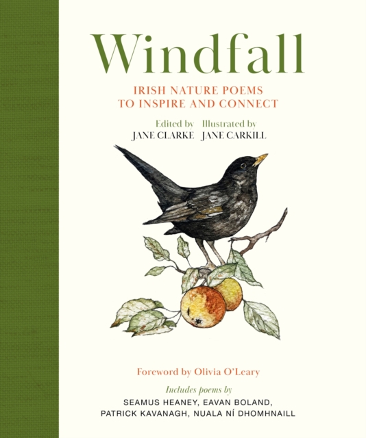 Windfall : Irish Nature Poems to Inspire and Connect