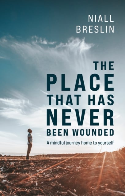 Niall Breslin : The Place That Has Never Been Wounded