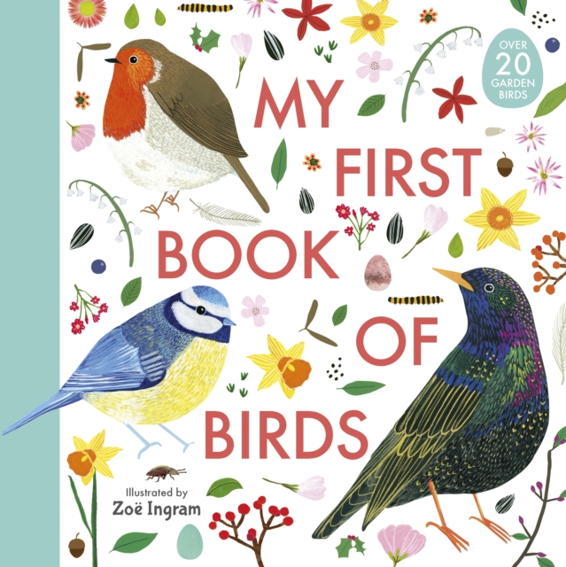 My First Book of Birds (Hardback)