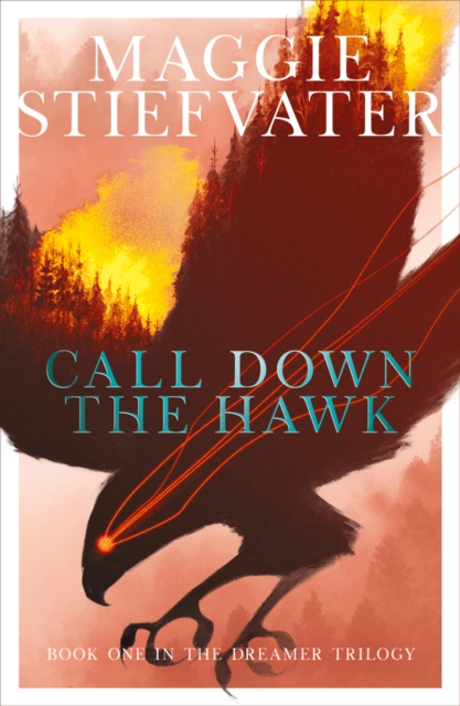 Call Down the Hawk (The Dreamer Trilogy Book 1) 