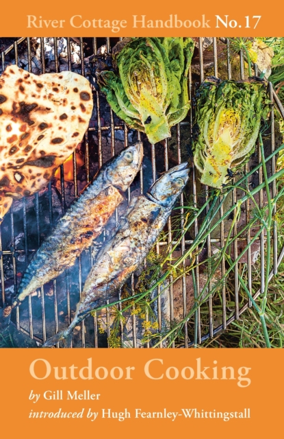 Outdoor Cooking : River Cottage Handbook No.17