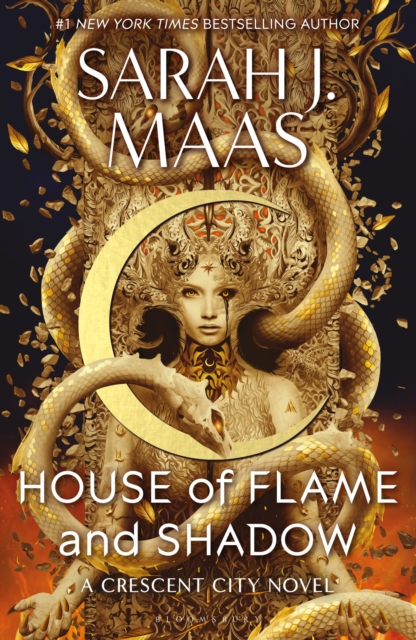 House of Flame and Shadow (Book 3)