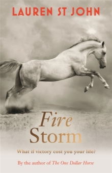 Fire Storm : The One Dollar Horse (Book 3)