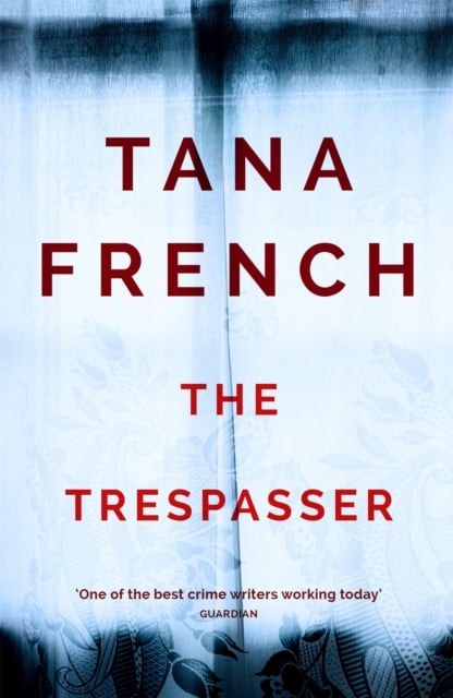 The Trespasser (Dublin Murder Squad Book 6)