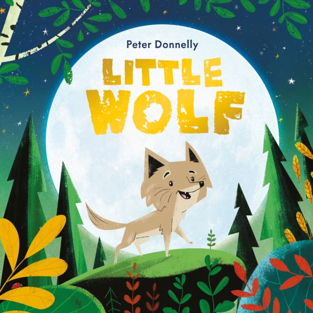 Little Wolf (Paperback)