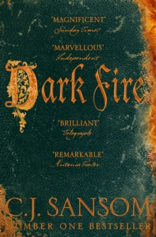 Dark Fire (BOOK 2)
