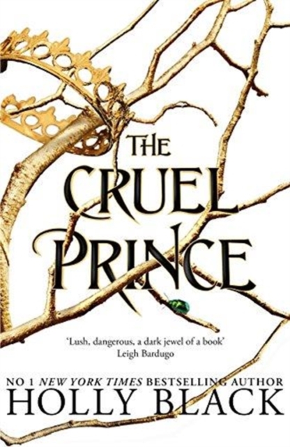 The Cruel Prince (The Folk of the Air Book1)